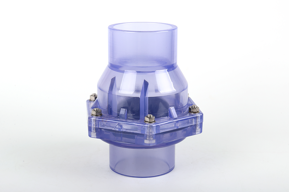 蜀山透明翻板式止回阀